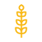 our-project-pages-icons-1